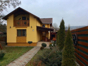 Casa Odihnei Villa & Tiny-House